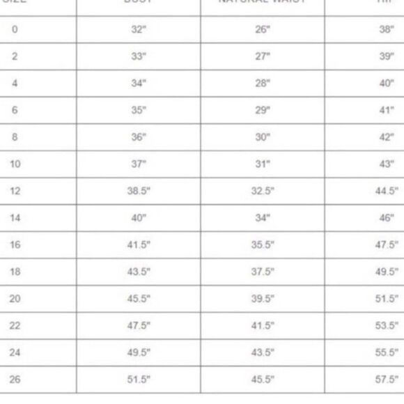 BHLDN Jenny Yoo Ryder Convertible Dress/ size 18 - Picture 9 of 9